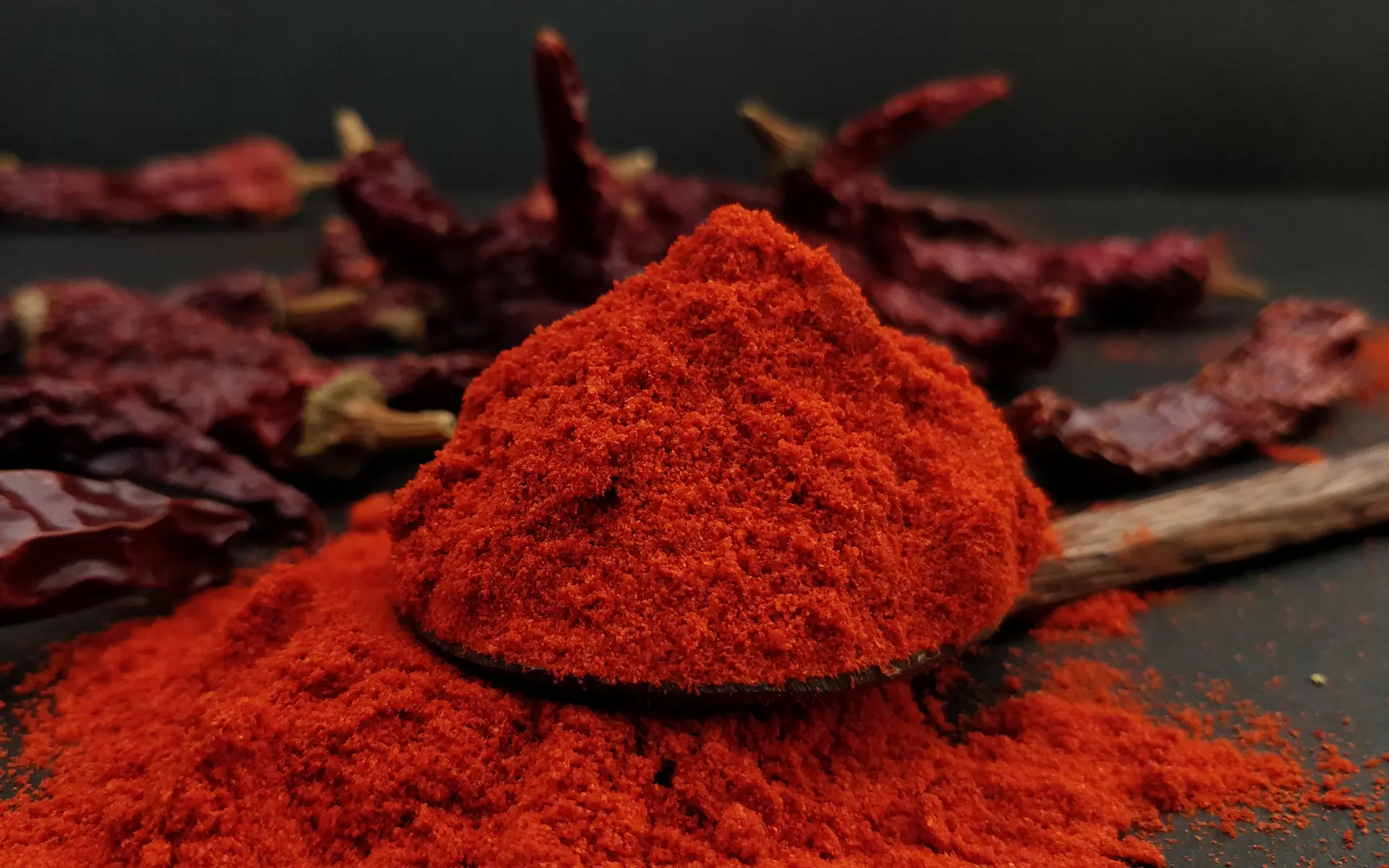 Byadgi chilli powder heaped on a wooden spoon, with whole wrinkled Byadgi chillies behind