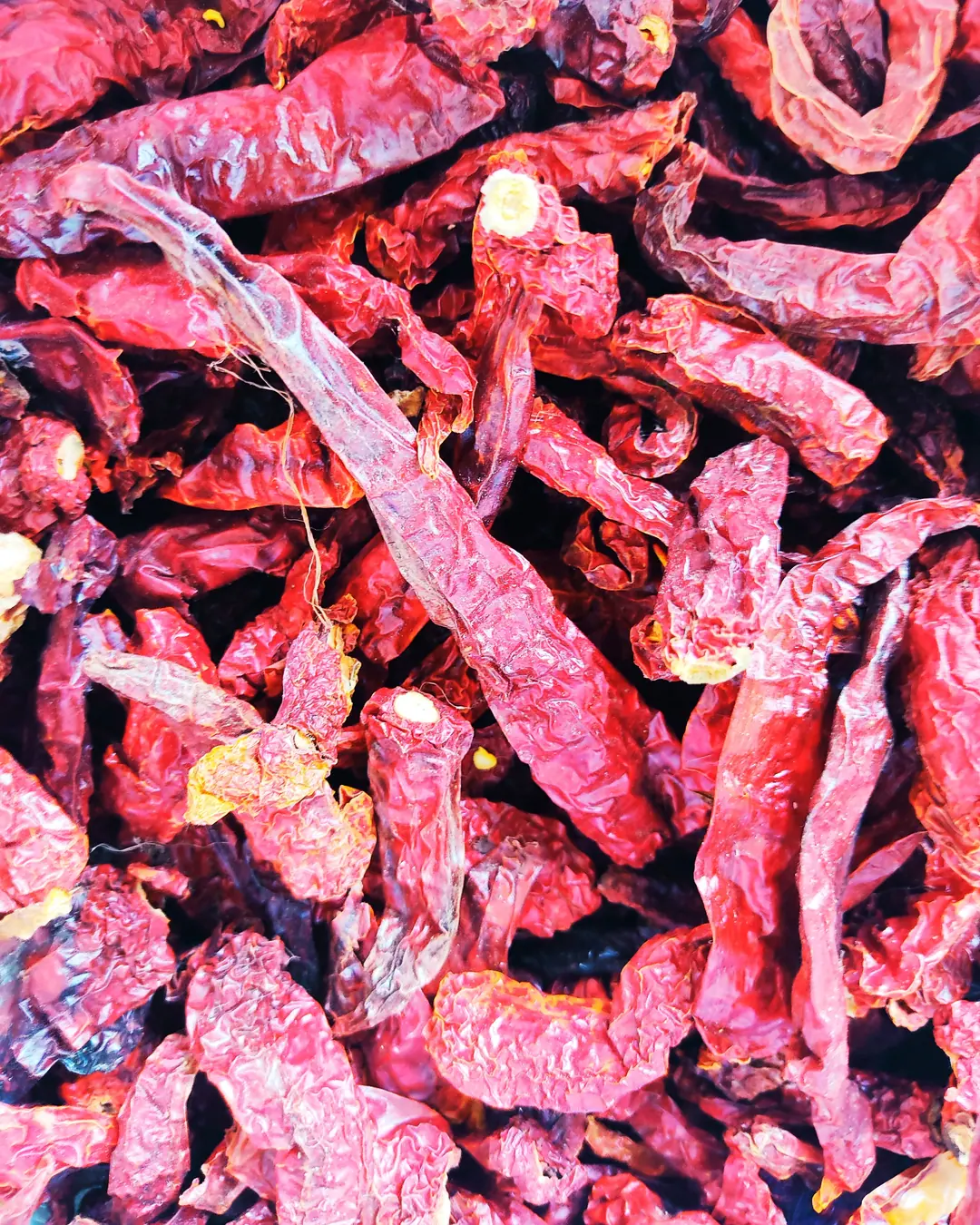 A heap of whole dried Byadgi chillies